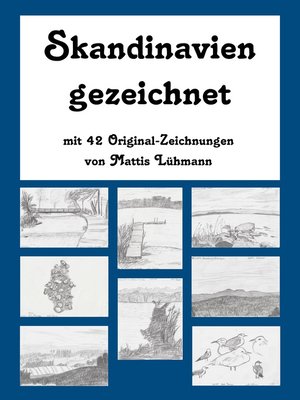 cover image of Skandinavien gezeichnet